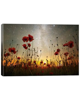 iCanvas Icanvas Moonrise Kingdom I By Adrian Borda Wall Art