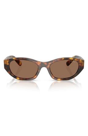 Miu Miu 53mm Irregular Sunglasses in Honey Havana /Dark Brown at Nordstrom