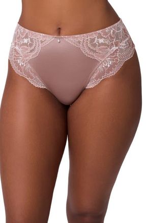 Montelle Intimates Floral Lace & Microfiber Briefs in Moonshell/Chantilly at Nordstrom, Size Xx-Large