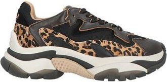 Ash Sneakers
