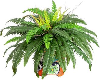Nearly Natural Artificial Boston Fern In Handmade Mexican Talavera Ceramic Planter
