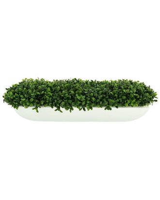 Creative Displays Inc. Boxwood Arrangement In White Glossy Fiberstone Planter