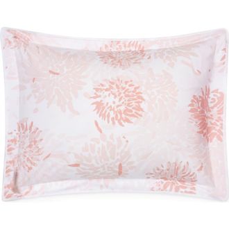 Matouk Chrysanthemum Pillow Sham in Blush at Nordstrom, Size Boudoir