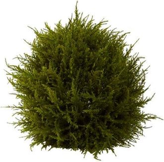 Nearly Natural 14-in Cedar Sphere in Green at Nordstrom