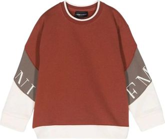 Armani Kids Sweatshirts, male, Brown, 12 Y, Colorblock Sweatshirt