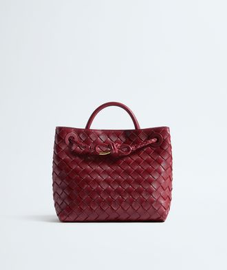 Bottega Veneta Small Andiamo - Bottega Veneta