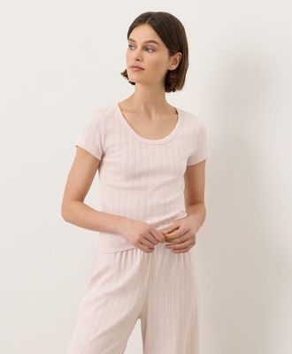 Pact Organic Cotton Pointelle Scoop Neck Tee in Soft Pink at Nordstrom, Size Xx-Large