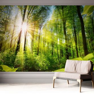 Tulup Carta Da Parati Adesiva - Lavabile - Decorazione Murale - Per Cucina - Pellicola Decorativa Luce Del Bosco 312x219 Cm
