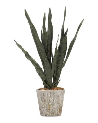 D&W Silks Dark Green Mother In Lawfts Tongue In Cement Oak Planter