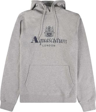 Aquascutum Heren Active Groot Logo Hoodie (Lichtgrijs)