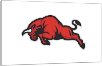 OEM Placa Protectora De Vidrio Para La Estufa 80x52 Byk