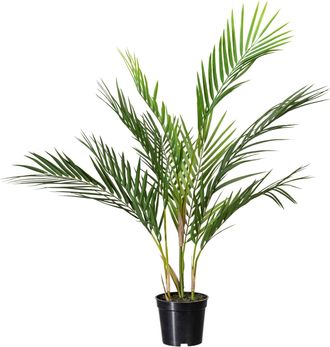 Creativ Green Kunstpalme