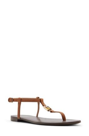 Aldo Sandstone Ankle Strap Sandal in Medium Brown at Nordstrom, Size 8.5