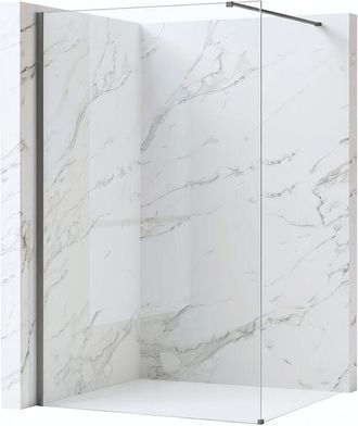 Rea Pared De La Ducha Rea Flexi Transparent Titanium 100