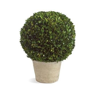 Napa Home & Garden Boxwood 12 Faux (Fake) Ball In Pot in Green at Nordstrom