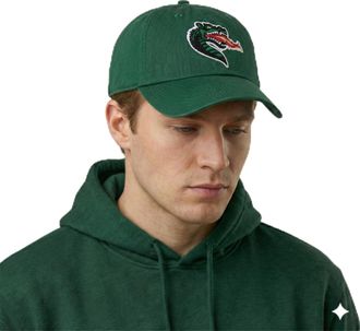 Desert Cactus University of Alabama Birmingham Baseball Hat Blazers UAB Brimmed Embroirderd Hats Cap Adjustable Cloth Strap Adult (Style A) Green, Green, One size