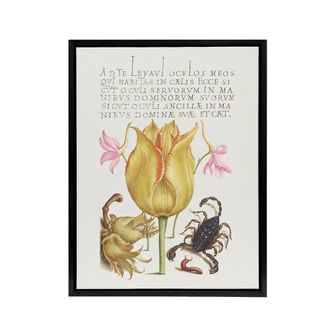 Artery8 Larkspurs Tulip & Scorpion Calligraphy Framed Canvas Wall Art Print in White | Size: W24 x H32