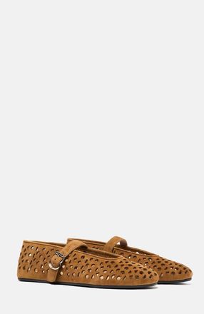Scarosso Evelyn Ballerinas in Tobacco - Suede at Nordstrom, Size 37.5