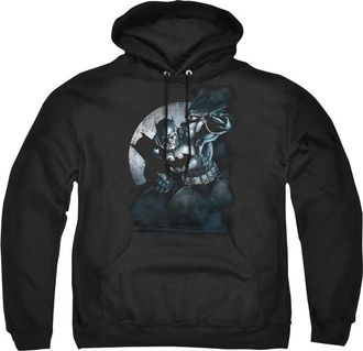 Gildan Batman Spotlight Adult Pull Over Hoodie / Hooded Sweatshirt