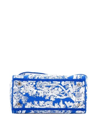 Dior Toile de Jouy Lady D-Lite Bag Embroidered Canvas tote bag - Blauw