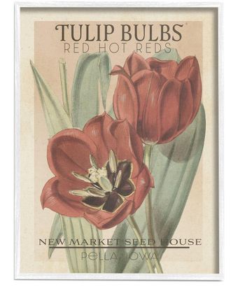Stupell Industries Hot Red Tulip Bulbs Antique Floral Seed Packet By Studio W Wall Art