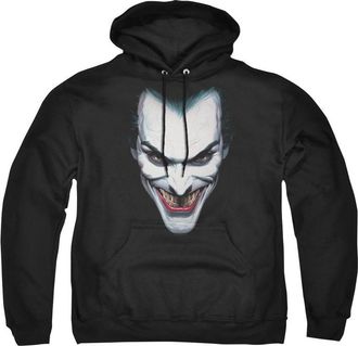Gildan Batman Joker Portrait Adult Pull Over Hoodie / Hooded Sweatshirt