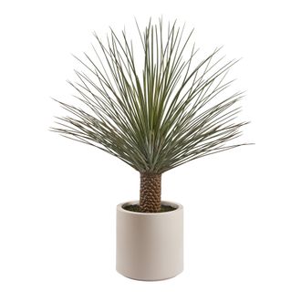 Schubiger M&ouml;bel Kunstpflanze Yucca H: 124 cm
