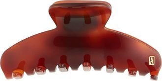 Alexandre de Paris Medium Hair Clip in Tortoise at Nordstrom