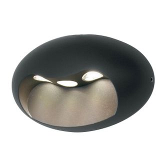 Loops Outdoor IP54 3 Bulb Wall Light Graphite LED 9W d01896