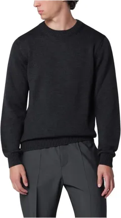 Roberto Collina Truien & Vesten, Heren, Grijs, XL, Round-neck Truien