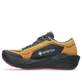 Asics Novablast 6 Gore Tex Sandstorm Black 1011C256-800
