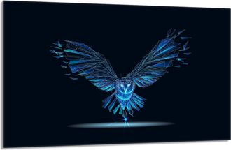 OEM Placa De Protecci&oacute;n De Estufa De Vidrio 80x52 P&aacute;jaro