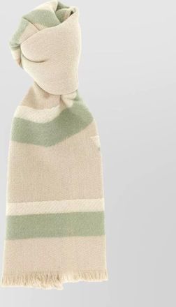 Loewe reversible scarf soft texture fringed edges