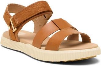 Sorel ONA AVE Ankle Strap Sandal in Iced Tea/Gum at Nordstrom, Size 10.5