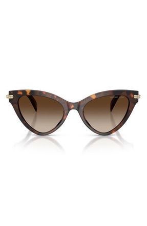 Michael Kors Roanoke 52mm Gradient Cat Eye Sunglasses in Luggage Tortoise /Smoke at Nordstrom