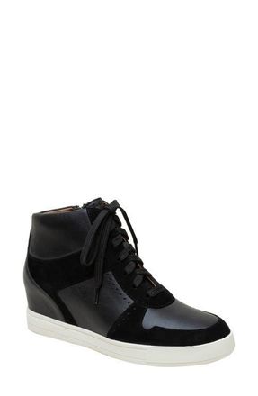 Linea Paolo Andres Mixed Media High Top Sneaker in Black at Nordstrom, Size 5.5