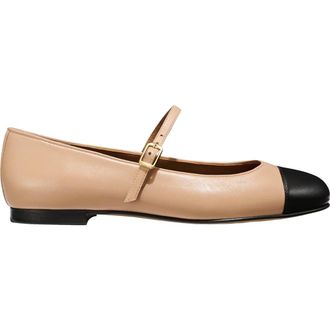 Margaux Eyewear The Cap-Toe Demi Jane in Dune And Black at Nordstrom, Size 43.5