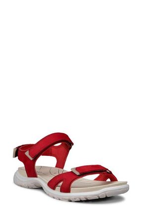 Ecco Offroad Roam Sandal in Chili Red at Nordstrom, Size 7-7.5Us
