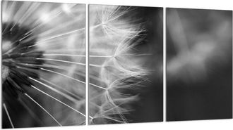 OEM Placa Protectora De Vidrio Para Estufa 3x30x52