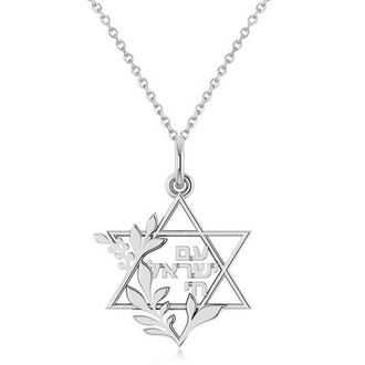 Allurez Jewish Star Of David Am Yisrael Chai Pendant Necklace 14K in White Gold at Nordstrom, Size 18