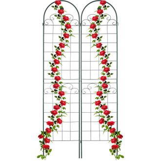 Relaxdays Relaxdays - Soportes Para Plantas, Set De 2, 220 X 50 Cm, Aut&oacute;nomos, Enrejado Estacas, Enredaderas, Gu&iacute;a Trepadoras, Verde