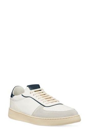 Stuart Weitzman SW Courtside Sneaker in Lgrywtncbl at Nordstrom Rack, Size 10