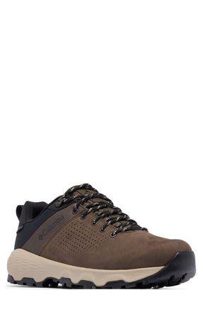Columbia Newton Nimble Waterproof Hiking Sneaker in Tundra/Black at Nordstrom, Size 11.5