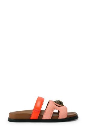 Kurt Geiger Eagle Cutout Slide Sandal in Orange/Pink at Nordstrom, Size 8.5Us