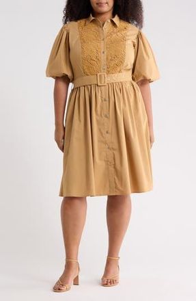 By Design Cordelia Lace Front Poplin Shirtdress in Iced Coffee at Nordstrom Rack, Size 2X