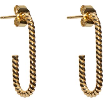 Argento Vivo Rope Oblong Hoop Earrings in Gold at Nordstrom Rack