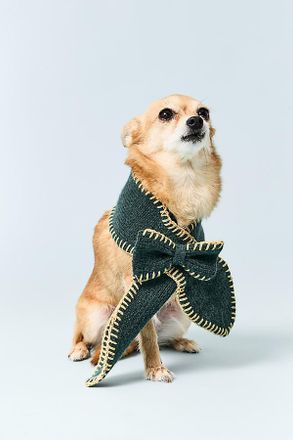 Anthropologie Bow Pet Scarf
