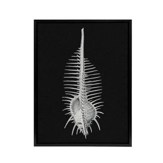 Artery8 Sea Shell Sketch on Black Haeckel Botanical Black Framed Canvas Art | Size: W24 x H32