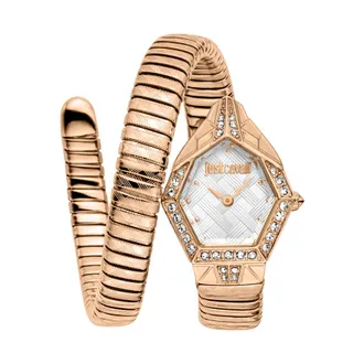 Just Cavalli Fashion Silver-tone Dial Ladies Watch JC1L303M0045