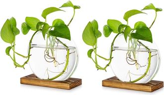 OEM Macetero Colgante De Cristal De 2 Piezas Para Mesa, Estaci&oacute;n De Propagaci&oacute;n, Jarr&oacute;n Moderno Con Soporte De Madera Para Plantas Hidrop&oacute;nicas Y Esquejes